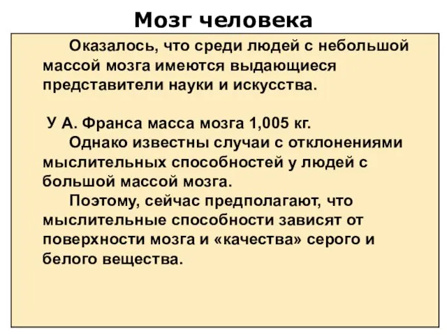 Мозг человека Оказалось, что среди людей с небольшой массой мозга имеются выдающиеся