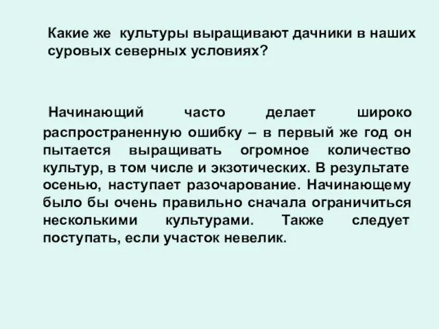 Какие же культуры выращивают дачники в наших суровых северных условиях? Начинающий часто