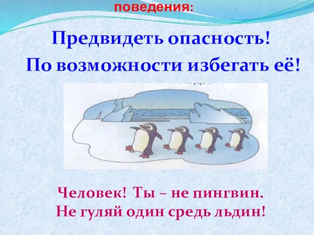 Следуйте принципам безопасного поведения: Предвидеть опасность! По возможности избегать её! Человек! Ты