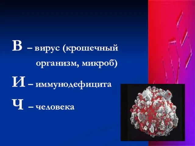 В – вирус (крошечный организм, микроб) И – иммунодефицита Ч – человека