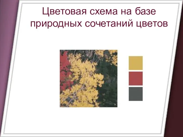 Цветовая схема на базе природных сочетаний цветов