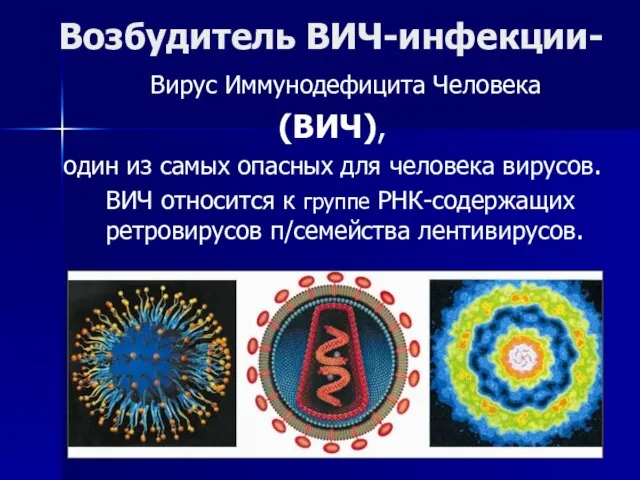 Возбудитель ВИЧ-инфекции- Вирус Иммунодефицита Человека (ВИЧ), один из самых опасных для человека