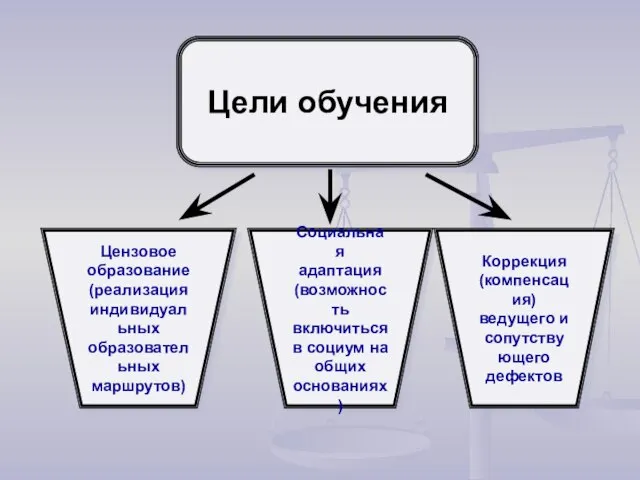 Цели обучения Цензовое образование (реализация индивидуальных образовательных маршрутов) Социальная адаптация (возможность включиться