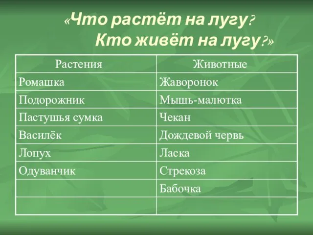 «Что растёт на лугу? Кто живёт на лугу?»