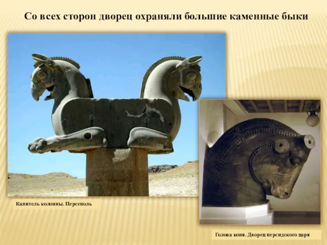 Со всех сторон дворец охраняли большие каменные быки Капитель колонны. Персеполь Голова коня. Дворец персидского царя