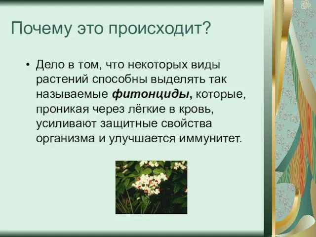 Почему это происходит? Дело в том, что некоторых виды растений способны выделять