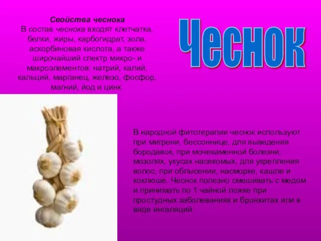 Чеснок Свойства чеснока В состав чеснока входят клетчатка, белки, жиры, карбогидрат, зола,