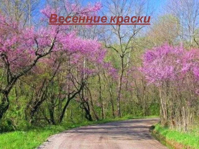 Весенние краски