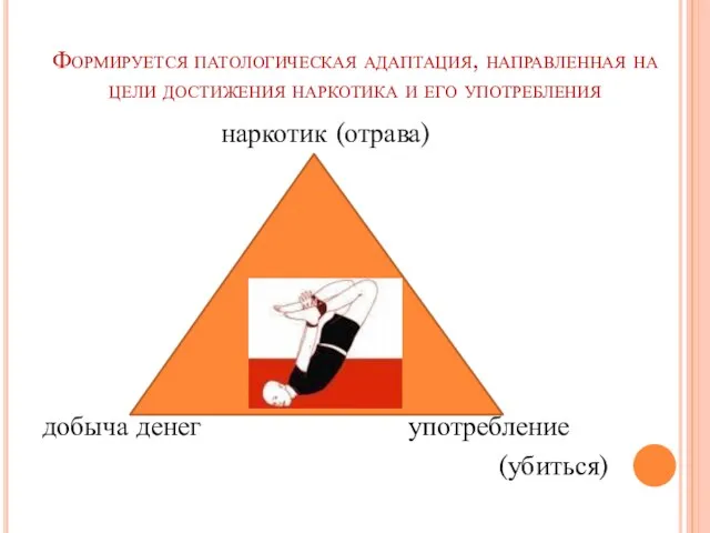 Формируется патологическая адаптация, направленная на цели достижения наркотика и его употребления наркотик