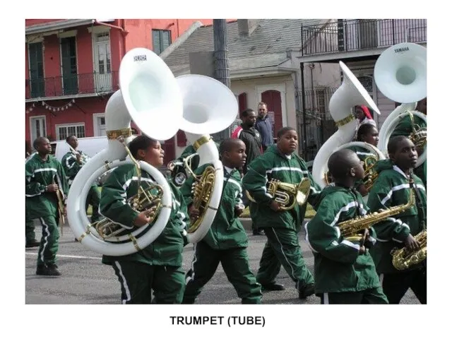 TRUMPET (TUBE)