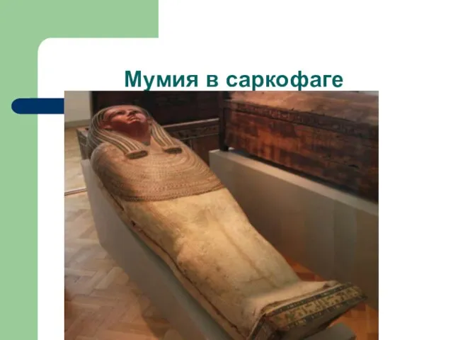 Мумия в саркофаге