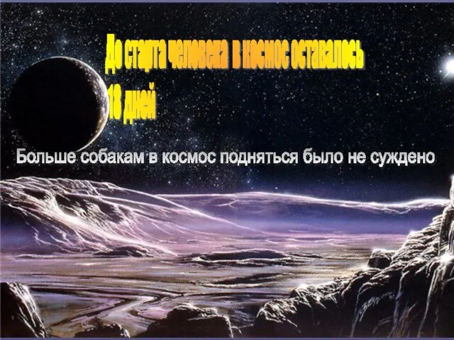 Больше собакам в космос подняться было не суждено До старта человека в космос оставалось 18 дней