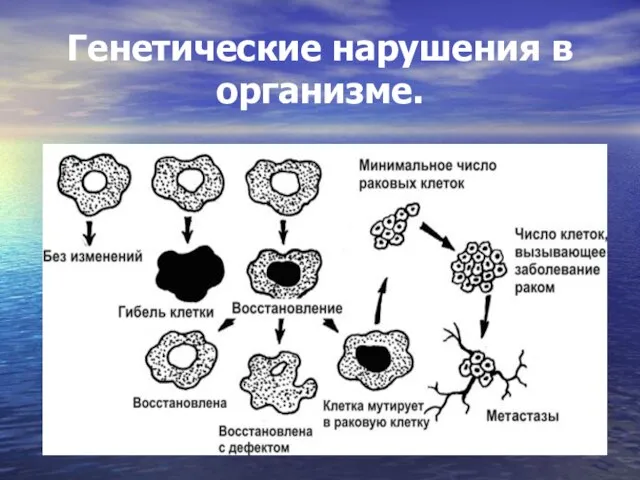 Генетические нарушения в организме.