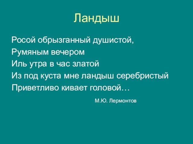 Ландыш Росой обрызганный душистой, Румяным вечером Иль утра в час златой Из