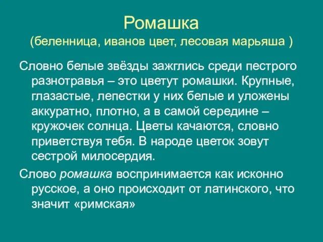 Ромашка (беленница, иванов цвет, лесовая марьяша ) Словно белые звёзды зажглись среди