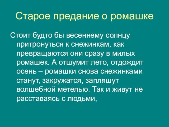 Старое предание о ромашке Стоит будто бы весеннему солнцу притронуться к снежинкам,