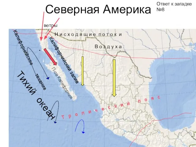 Северная Америка Тихий океан Калифорнийский залив П-ов Калифорния Ответ к загадке №8