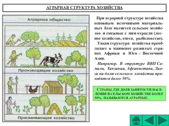 АГРАРНАЯ СТРУКТУРА ХОЗЯЙСТВА При аграрной структуре хозяйства основным источником материаль- ных благ