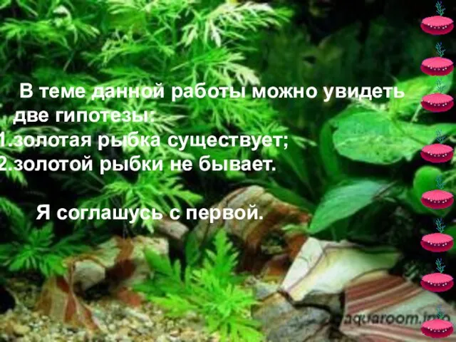 В теме данной работы можно увидеть две гипотезы: золотая рыбка существует; золотой