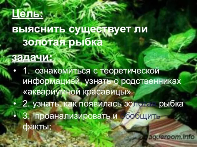 Цель: выяснить существует ли золотая рыбка задачи: 1. ознакомиться с теоретической информацией,