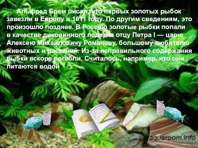 Альфред Брем писал, что первых золотых рыбок завезли в Европу в 1611