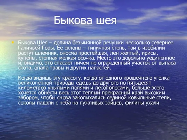 Быкова шея Быкова Шея – долина безымянной речушки несколько севернее Галичьей Горы.