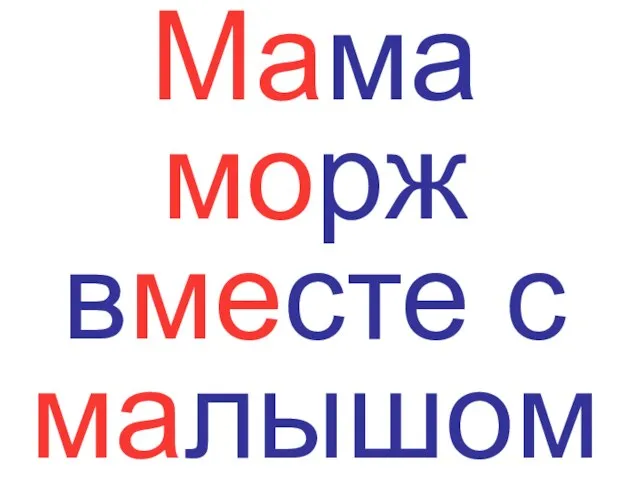 Мама морж вместе с малышом