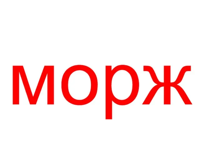 морж