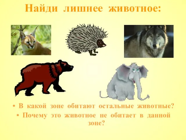 Найди лишнее животное: В какой зоне обитают остальные животные? Почему это животное