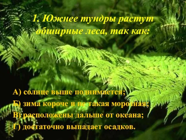 1. Южнее тундры растут обширные леса, так как: А) солнце выше поднимается;