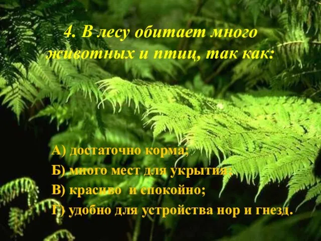 4. В лесу обитает много животных и птиц, так как: А) достаточно