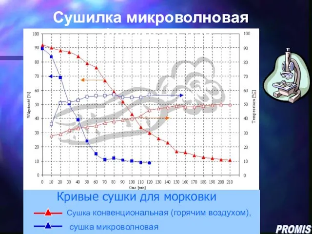 Кривые сушки для морковки Сушка конвенциональная (горячим воздухом), сушка микроволновая Сушилка микроволновая флюидальная