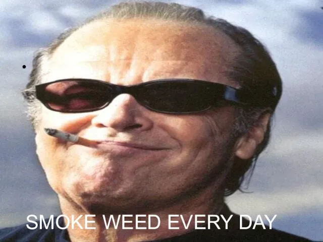 SMOKE WEED EVERY DAY