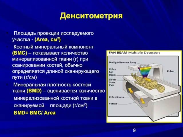 Денситометрия Площадь проекции исследуемого участка - (Area, см2) Костный минеральный компонент (ВМС)