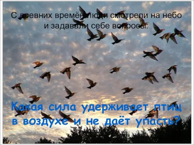 С древних времён люди смотрели на небо и задавали себе вопросы: Какая