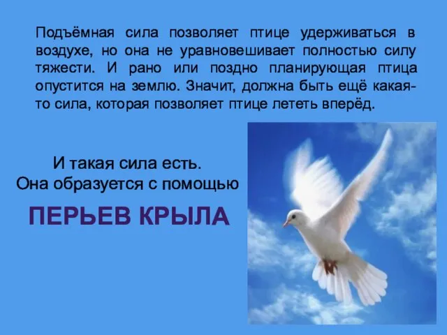 Подъёмная сила позволяет птице удерживаться в воздухе, но она не уравновешивает полностью