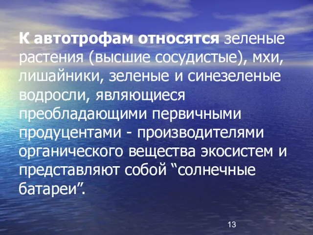 К автотрофам относятся зеленые pастения (высшие сосудистые), мхи, лишайники, зеленые и синезеленые