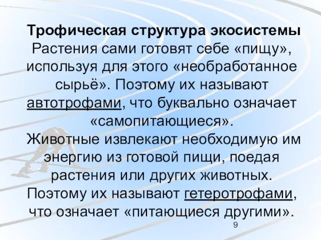 Трофическая структура экосистемы Растения сами готовят себе «пищу», используя для этого «необработанное