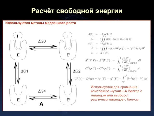 Расчёт свободной энергии Используются методы медленного роста Используется для сравнения комплексов мутантных