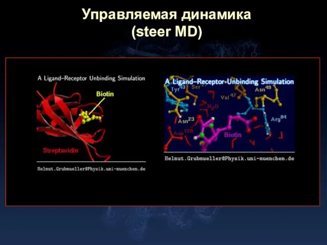 Управляемая динамика (steer MD)