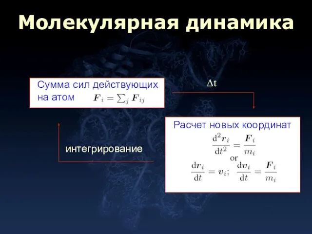 Молекулярная динамика Сумма сил действующих на атом Расчет новых координат Δt интегрирование