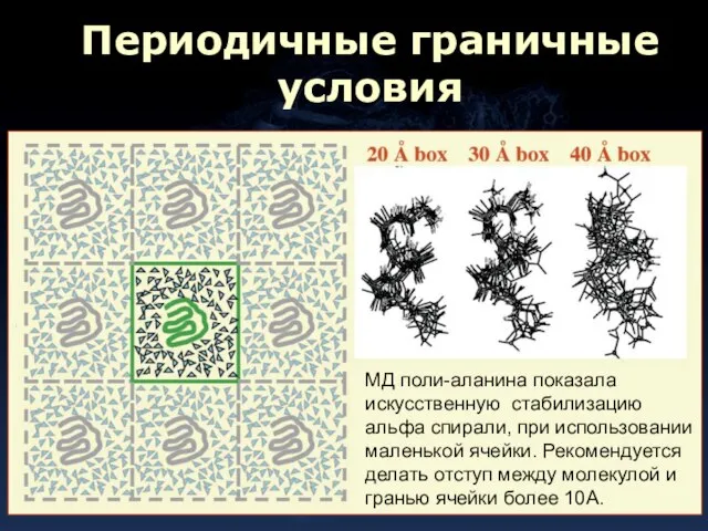 Периодичные граничные условия МД поли-аланина показала искусственную стабилизацию альфа спирали, при использовании