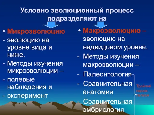 Условно эволюционный процесс подразделяют на Микроэволюцию эволюцию на уровне вида и ниже.