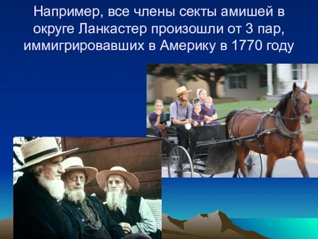 Например, все члены секты амишей в округе Ланкастер произошли от 3 пар,