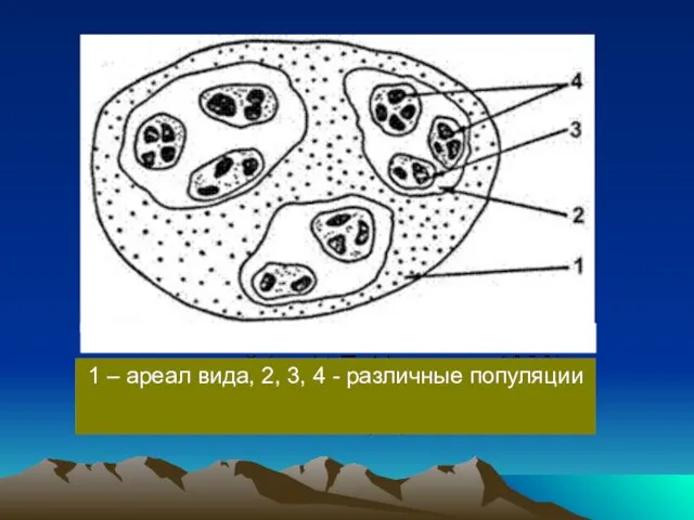 1 – ареал вида, 2, 3, 4 - различные популяции