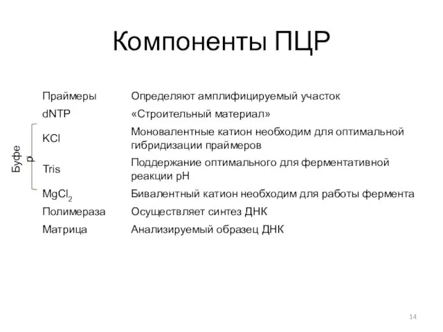 Компоненты ПЦР Буфер