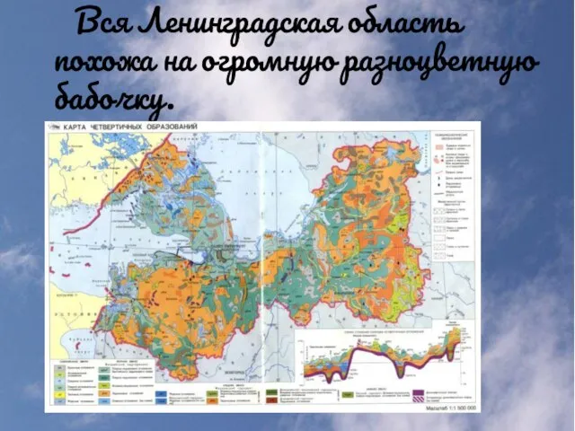 Вся Ленинградская область похожа на огромную разноцветную бабочку.