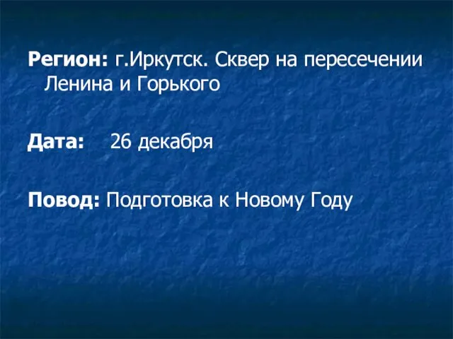 Регион: г.Иркутск. Сквер на пересечении Ленина и Горького Дата: 26 декабря Повод: Подготовка к Новому Году