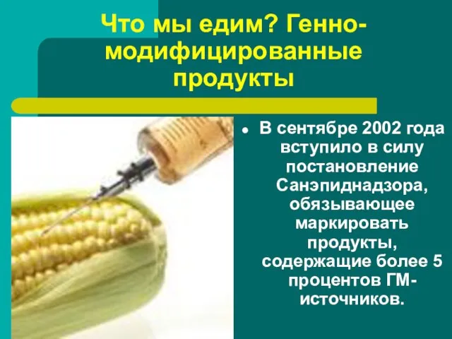 Что мы едим? Генно-модифицированные продукты В сентябре 2002 года вступило в силу