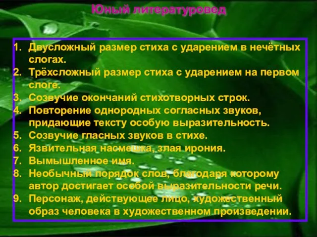 Юный литературовед Двусложный размер стиха с ударением в нечётных слогах. Трёхсложный размер